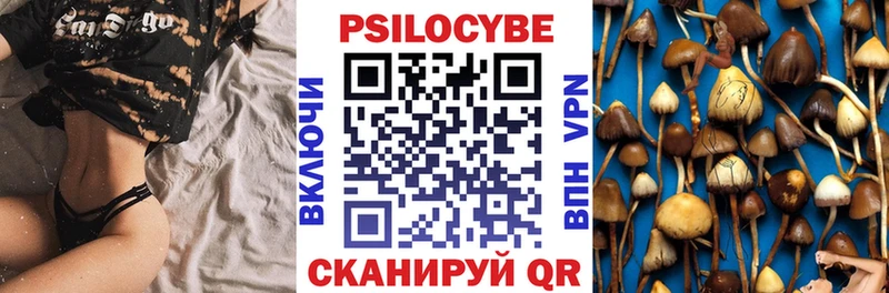 Псилоцибиновые грибы прущие грибы  Орехово-Зуево 