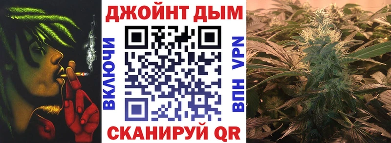 Каннабис сатива продажа наркотиков Орехово-Зуево